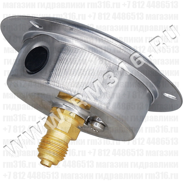 1201-63F-25 Манометр гидравлический виброустойчивый (глицериновый) с фланцем, 0-25 бар, 0-350 psi, диаметр 63 мм, резьба 1/4" BSP, осевое присоединение (сзади), без первичной поверки (RITHERM, Китай)