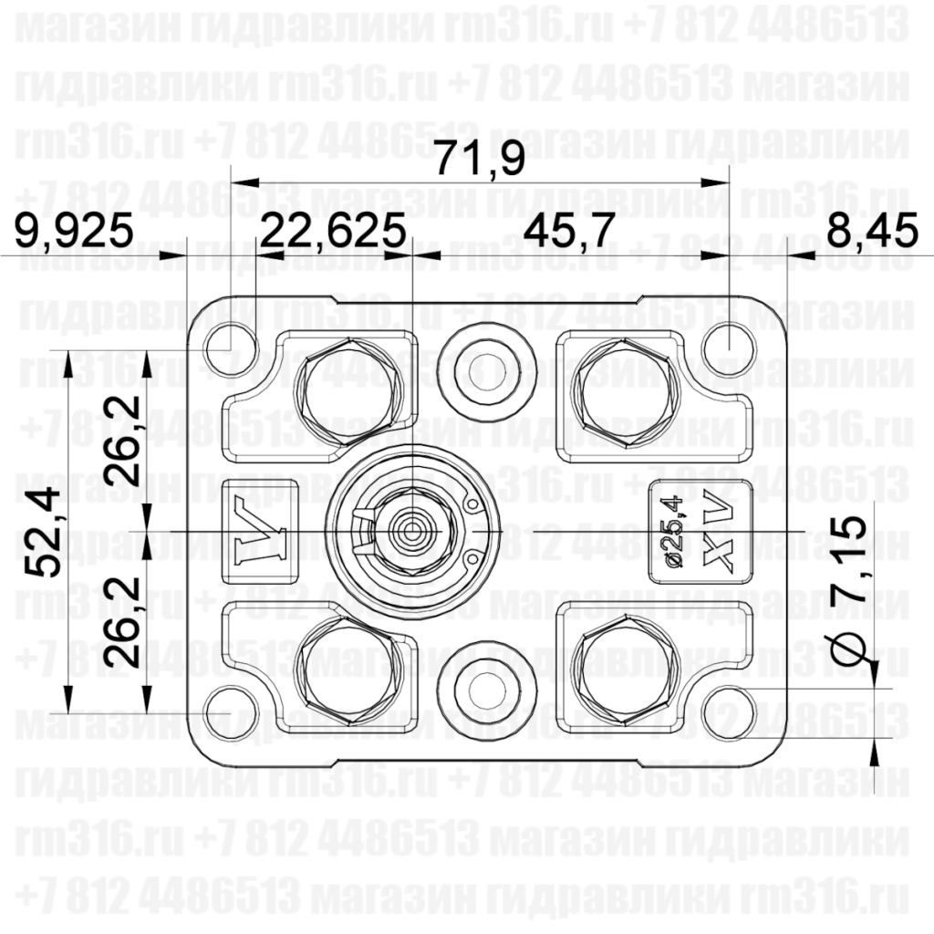 XP-101 Vivolo насос шестеренчатый